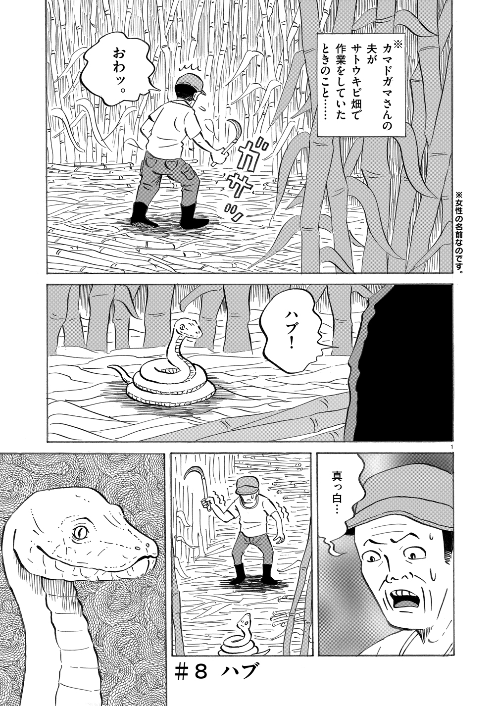 琉球怪談　【第8話】WEB掲載1ページ目画像